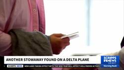 Another stowaway discovered on a Delta airlines flight News Clip