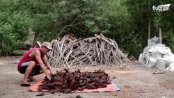 How this Island Still Manages to Produce the Weirdest Salt in the World Instructional Video