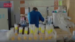 Can technology save the rarest creatures on the planet? Instructional Video