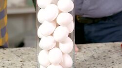 DIY Sci: Egg Sandwich Instructional Video