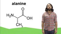 Amino Acids Instructional Video
