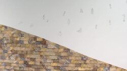 100 years of Alberta University of Arts work showcased in new exhibit News Clip