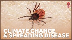 Ticks, Mosquitos, and How Climate Change Could Increase Disease Instructional Video