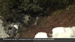 Historically low snowpack levels could spell drought for B.C.'s summer News Clip