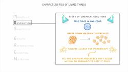GCSE Biology - Characteristics of Living Things (Organisms) #3 Instructional Video