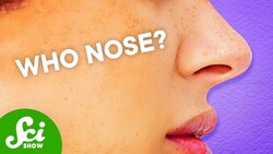 Why Do Our Noses Stick Out? Instructional Video