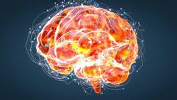 Social Emotional Learning My Well Being The Importance of Being Positive, Thankful and Grateful V1-0001 Instructional Video