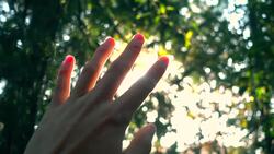 Earth: What If It Had No Moon Instructional Video