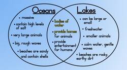 Review for You:Compare and Contrast Essay Instructional Video