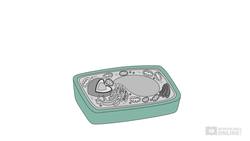 Biology Cells as the Basis of Life: Cell Structure - Plant Cells Part 1 Instructional Video