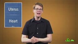 Two Unbelievable New Transplants That Actually Worked Instructional Video