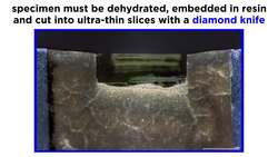 Electron Microscopy (TEM and SEM) Instructional Video