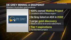 De Grey Mining MD on Mallina Gold Project, Gold Outlook News Clip