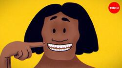 TED-Ed: Why do we have crooked teeth when our ancestors didn't? | G. Richard Scott Instructional Video