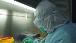 Scientists working in Coyote coronavirus test lab News Clip