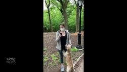 Central Park confrontation, Minneapolis arrest spark conversation about race in America News Clip