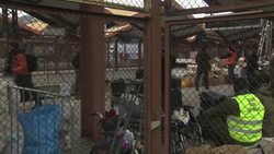 Ukrainian Refugees Arriving in Przemysl, Poland News Clip