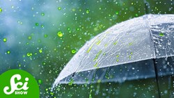 Why Don't We Talk About Acid Rain Anymore? Instructional Video