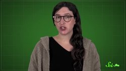 How U.S. Airports Might Revamp Security... Using Game Theory Instructional Video