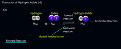 Reversible Reactions Instructional Video