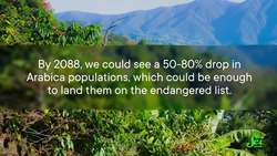 Is Coffee Disappearing... or Will It Just Taste Different? Instructional Video