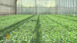 Netherlands energy crisis: Households cut themselves off from gas News Clip