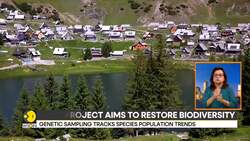 Endemic species faces survival crisis at Prokoško Lake in Bosnia News Clip