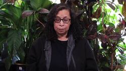 Nancy Correa "Palm Sunday Auction" Instructional Video