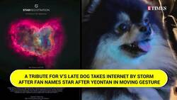 Emotional Fan Tribute To V's Late Dog Leaves Army In Tears; A Star Named In His Memory News Clip