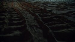 Turtle Nesting and Behaviour on Heron Island Instructional Video