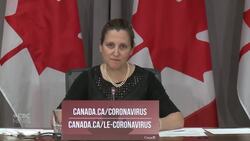 Freeland says video of Chief Adam's arrest 'incredibly disturbing' News Clip