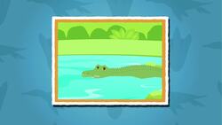 I WONDER - How Long Have Crocodiles Existed? Instructional Video