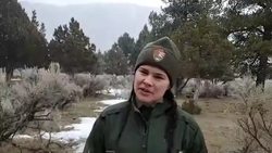 Yellowstone National Park - Birds Instructional Video