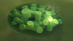 NASA | Seeing Photosynthesis from Space Instructional Video