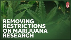 Reforming Federal Laws that Slow Marijuana Research Instructional Video
