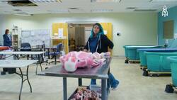 Revolutionizing medical training with synthetic cadavers at Syndaver Labs Instructional Video