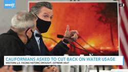 Newsy’s Latest Headlines News Clip