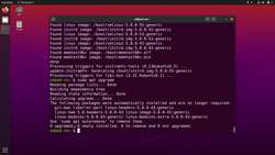 Practical Linux Command Line 2.0 - Update Existing Packages (update, upgrade) Instructional Video