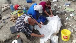 Digging towards a massive find News Clip