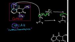 Caffeine Demethylase Mechanism Instructional Video