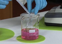 Stimulating Daphnia Instructional Video