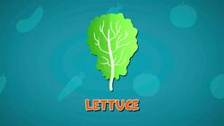 I WONDER - Do All Vegetable Grow Underground? Instructional Video