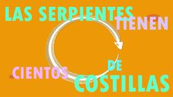 I WONDER - Do Snakes Have Bones? Me Pregunto - Las Serpientes Tienen Huesos? Instructional Video