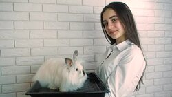 Girl with a white bunny. Stock Footage