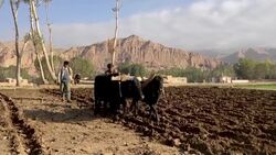 CLEAN : Afhganistan: Taliban guard site of Bamiyan Buddhas they destroyed News Clip