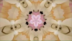 Kaleidoscope background footage for creative design Stock Footage