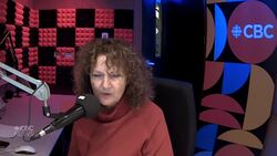 Southern Chiefs' Organization schedules summit focusing on grand chief's apology News Clip