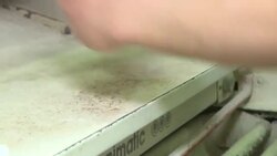 VOICED : La “baguette”, candidata de Francia al patrimonio de la UNESCO News Clip