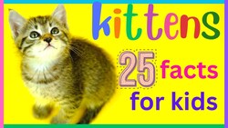 25 facts about Baby Cats Instructional Video