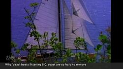 Why it’s so hard to remove abandoned boats littering B.C. coast News Clip